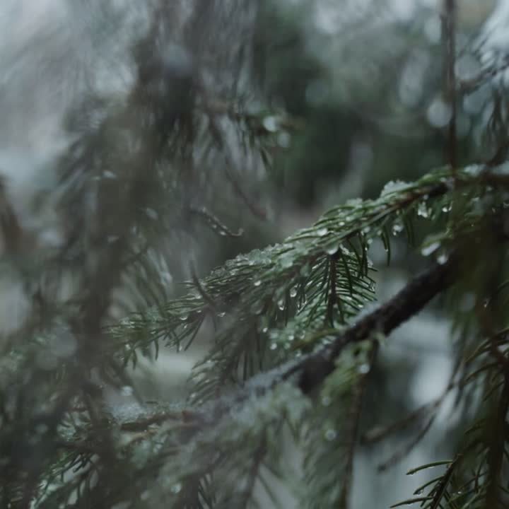 Тучи в Челябинске. Сегодня День домашней кухни