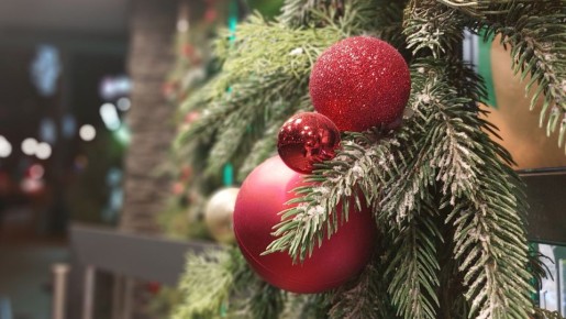 В центре Челябинска перед Новым годом откроется ярмарка