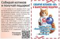 Найди котика - получи подарок! Собирай купоны в «Комсомолке» до 31 декабря