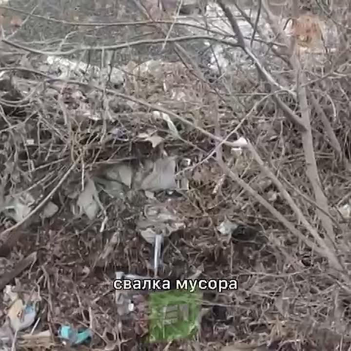 Огромная свалка около политехнического колледжа в Копейске