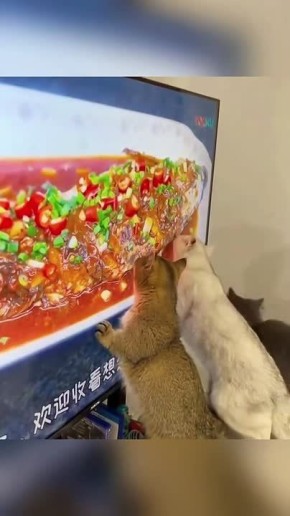 #СДобрымутром31. Считаем своим долгом сообщить, что сегодня Всемирный день информации Узнавайте вместе с нами новости первыми и помните: кто владеет информацией, тот владеет миром