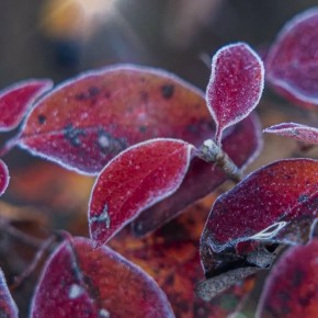 Небольшая облачность в Челябинске