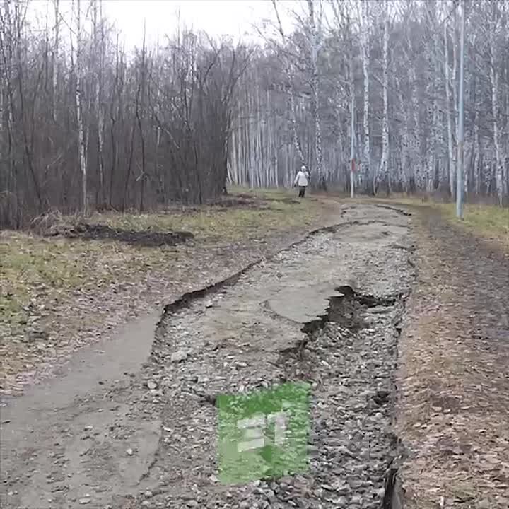 "Плавали наши денежки". Новая экотропа на Тополиной аллее превратилась в болото