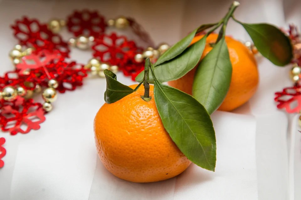 В столице их не получат: в Челябинской области решили не пропускать в Москву 18 тонн мандаринов