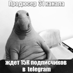 Ну и в конце рабочего дня запилили для вас мемасик для настроения