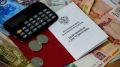 В СФР по Челябинской области объяснили, как узнать размер будущей пенсии