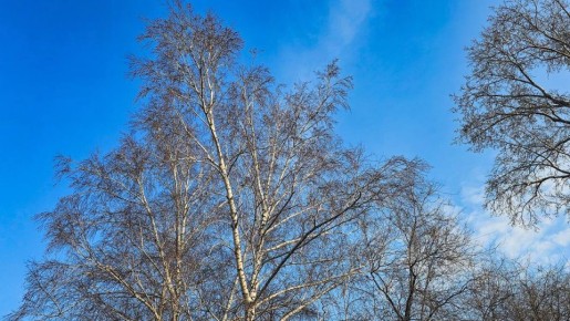 Ноябрь в Челябинской области завершится теплым аккордом