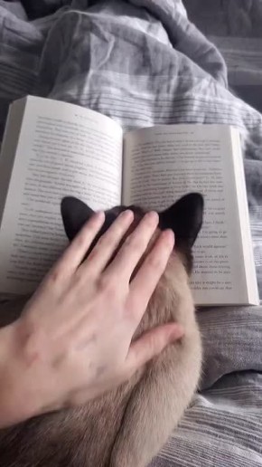 #СДобрымутром31. Сегодняшний день принадлежит нам Балдеем в пене, залипаем с книжкой и смотрим добрые видосики! Всем душевной субботы