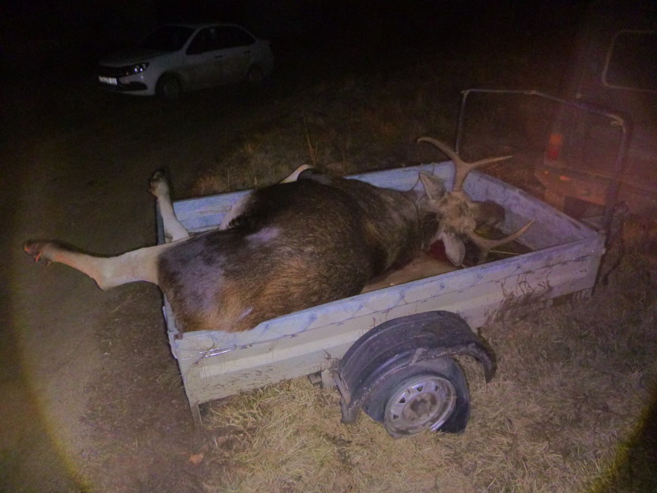 В Брединском районе полицейские задержали подозреваемого в незаконной охоте