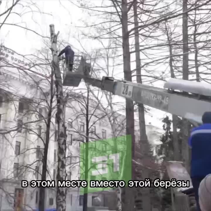 Зеленое новоселье на площади Революции