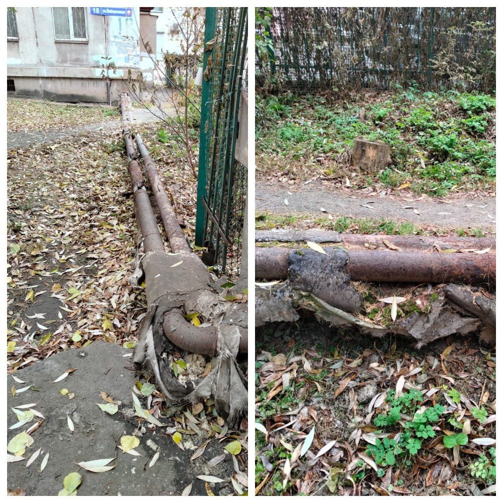 Директора управляющей компании в Челябинске отстранили от работы на полгода