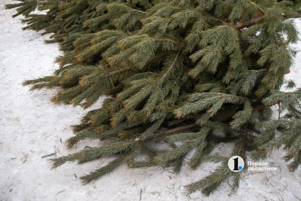 Итоги пятницы, 5 декабря, в дайджесте ИА «Первое областное» Итоги пятницы, 5 декабря, в дайджесте ИА «Первое областное»