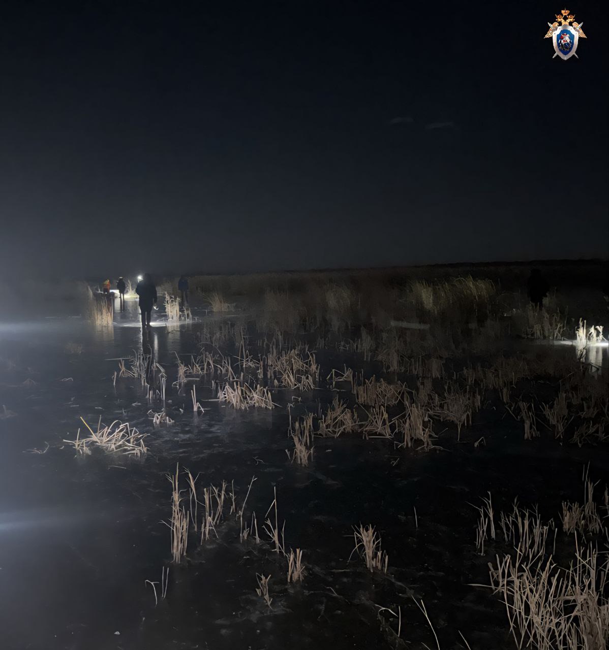 В Челябинской области возбуждено уголовное дело по факту гибели мужчины и его малолетнего сына в результате утопления в водоеме