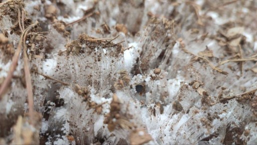 Как думаете, что это такое?