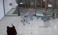 Еще одна фобия во время шопинга: В Челябинске на девушку «напали» тележки для продуктов – они скатились по эскалатору, сбив покупательницу, она отделалась травмами