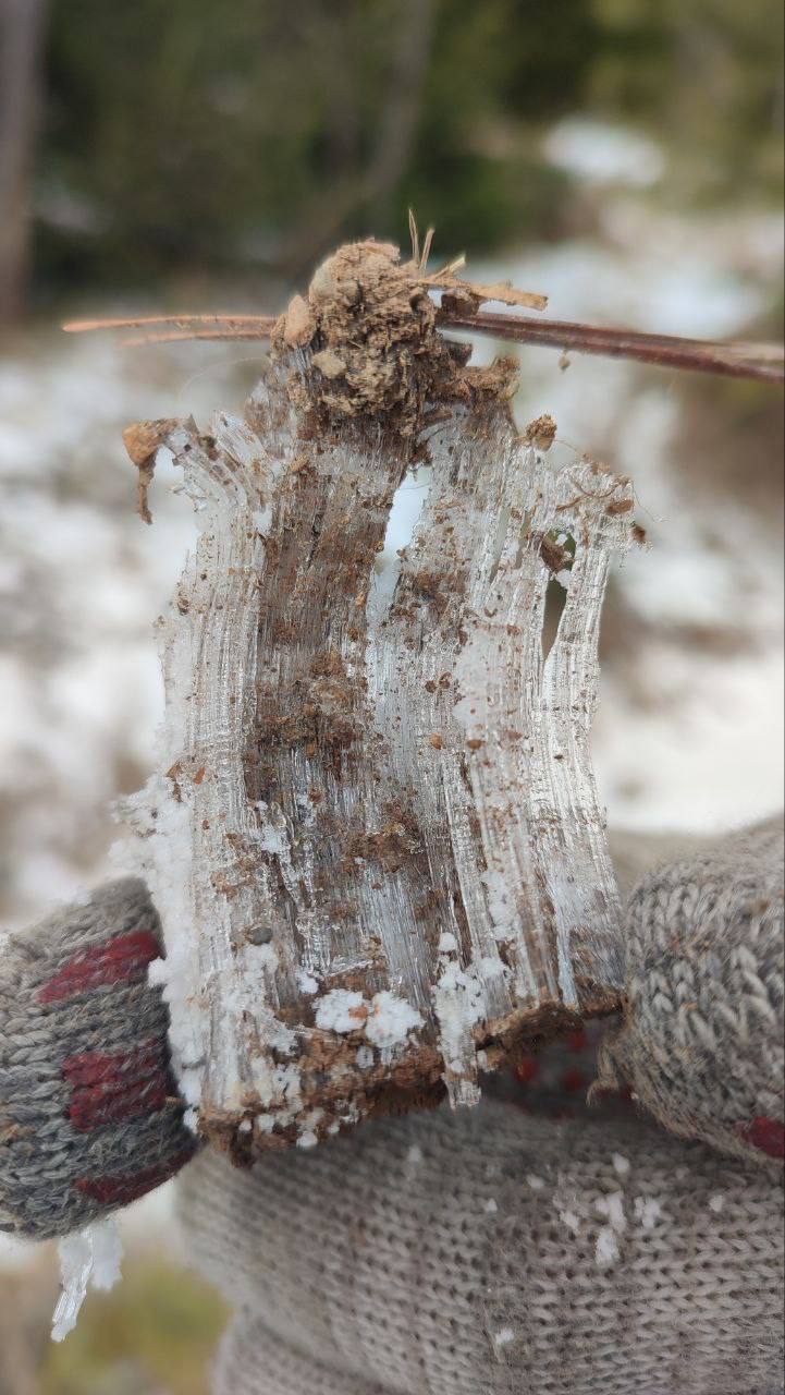 Как думаете, что это такое? Как думаете, что это такое?