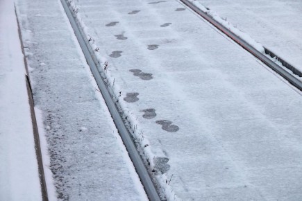 Доброе утро, южноуральцы!. Сегодня понедельник, 8 декабря