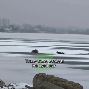 На Смолино спасли провалившегося под лед человека