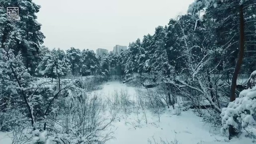 В Челябинск пришла долгожданная зима