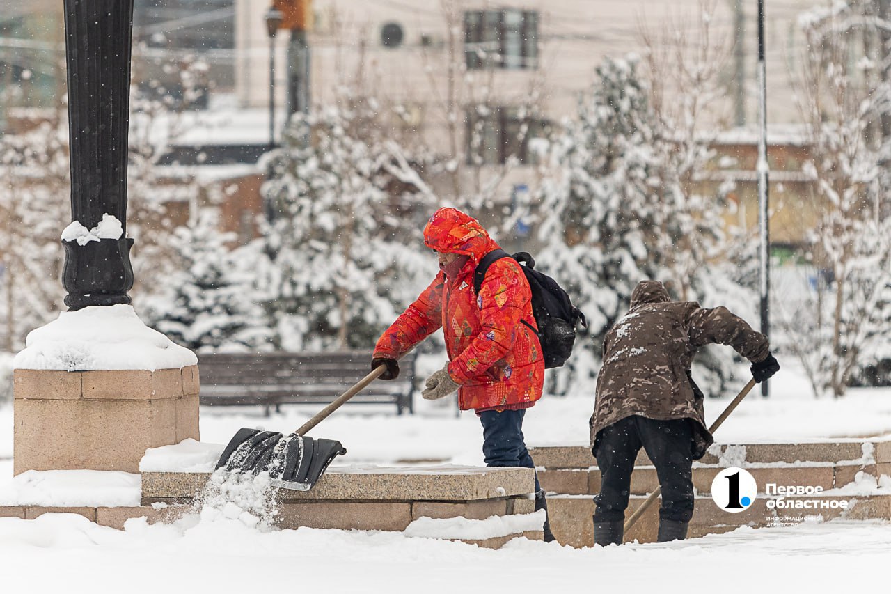 Почти половина месячной нормы снега выпала в Челябинской области за ночь