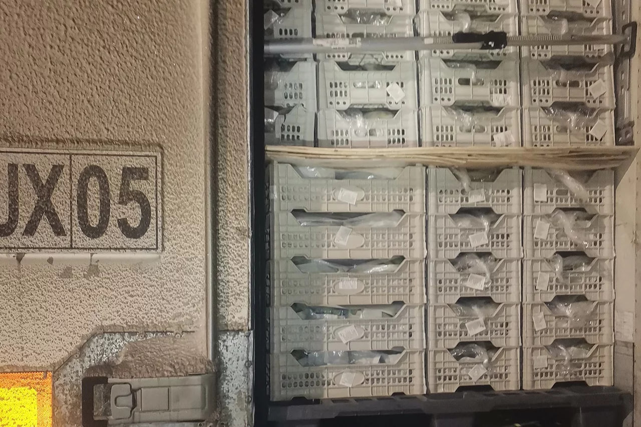 В Челябинскую область не пропустили 18 тонн подозрительного винограда