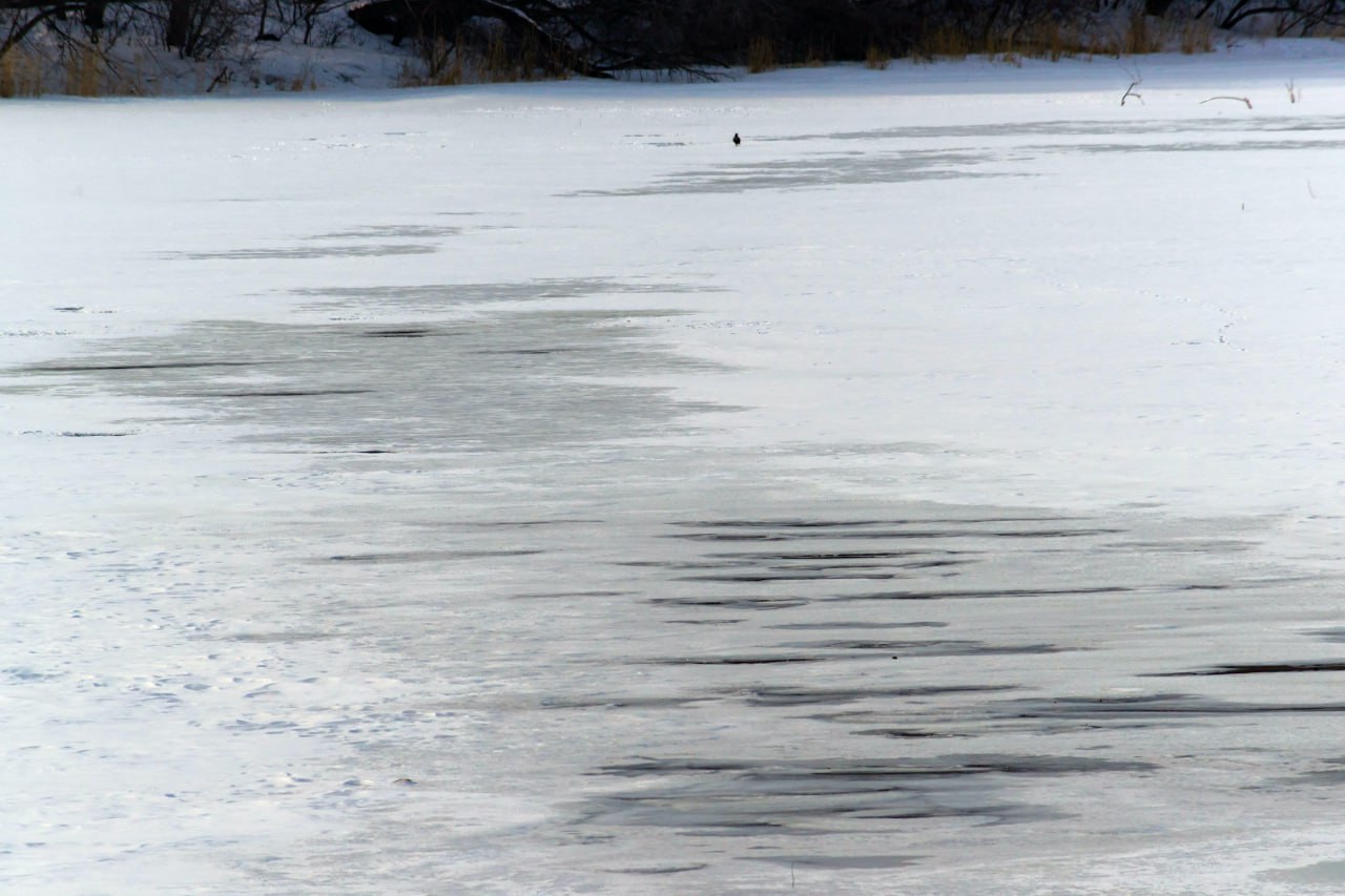 Трех пожарных наградят за спасение провалившегося под лед челябинца