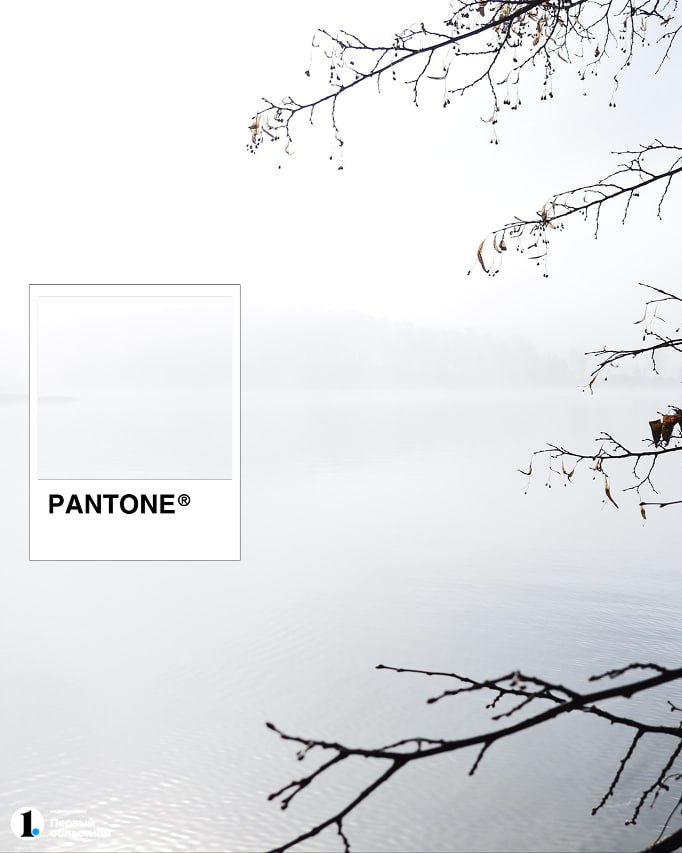 Если не знали, институт цвета Pantone выбрал цвет 2026 года — «облачный танцор»