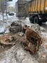 В Магнитогорске продолжаются плановые работы по сносу аварийных деревьев