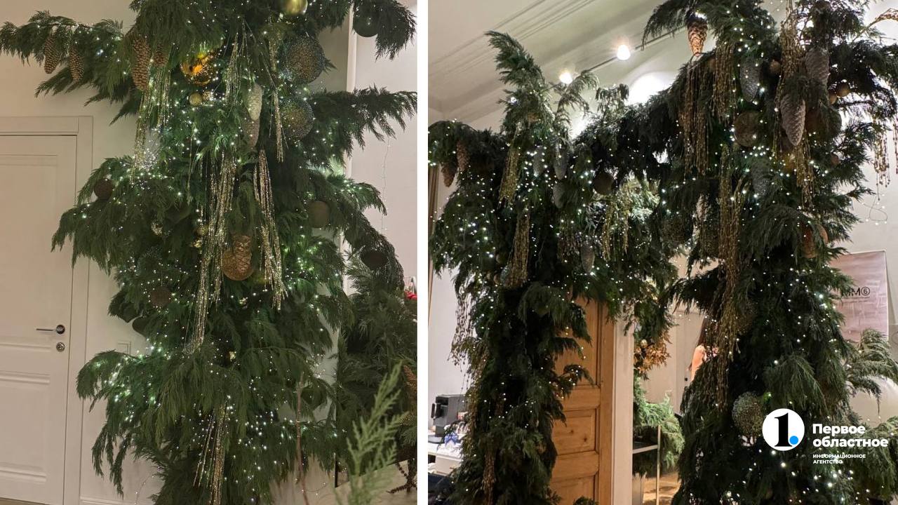Как челябинцам украсить елку – тренды Нового 2026 года Как челябинцам украсить елку – тренды Нового 2026 года