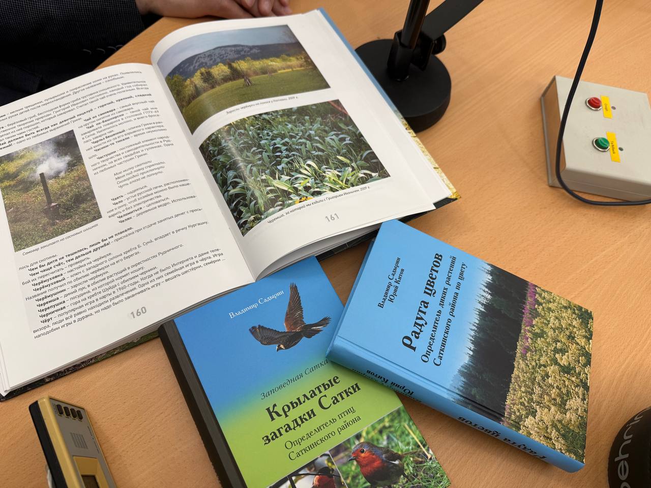 Книги о Сатке. Бывший министр образования и науки Владимир Садырин презентовал уникальные издания об одном из самых живописных районов Челябинской области