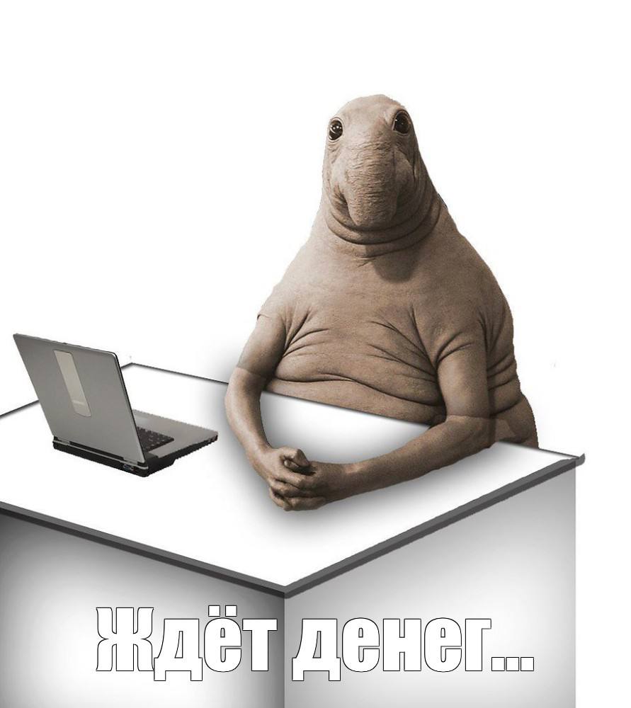 Челябинцы назвали свои профессиональные цели на 2026 год