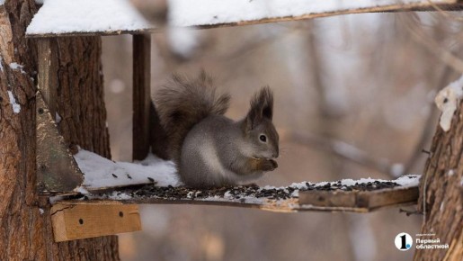 В Челябинской области температура сегодня поднимется сразу на 10 градусов