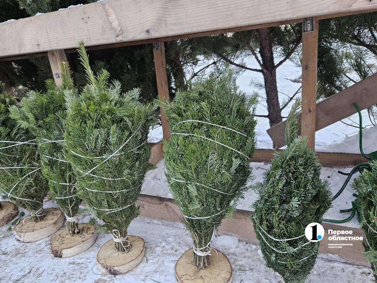 Елочные базары открылись в Челябинской области Елочные базары открылись в Челябинской области