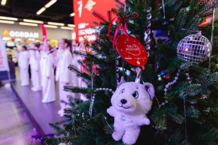 Подарят новогоднее чудо: акция «Елка желаний» стартовала в Челябинске