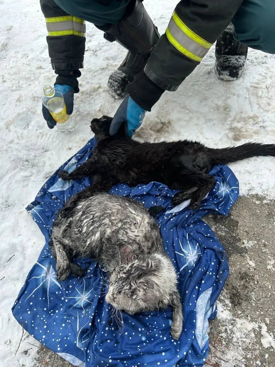 Двухлетняя девочка пострадала во время пожара под Челябинском Двухлетняя девочка пострадала во время пожара под Челябинском