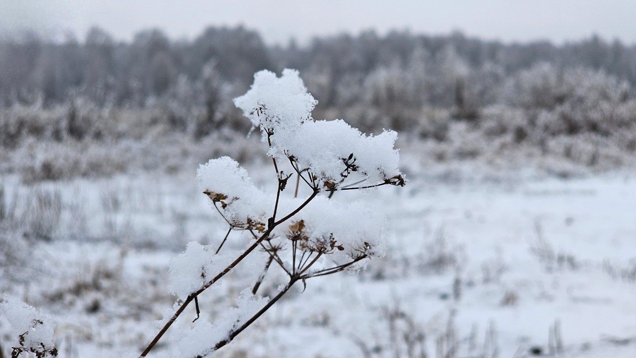 Снежные выходные ждут жителей Челябинской области