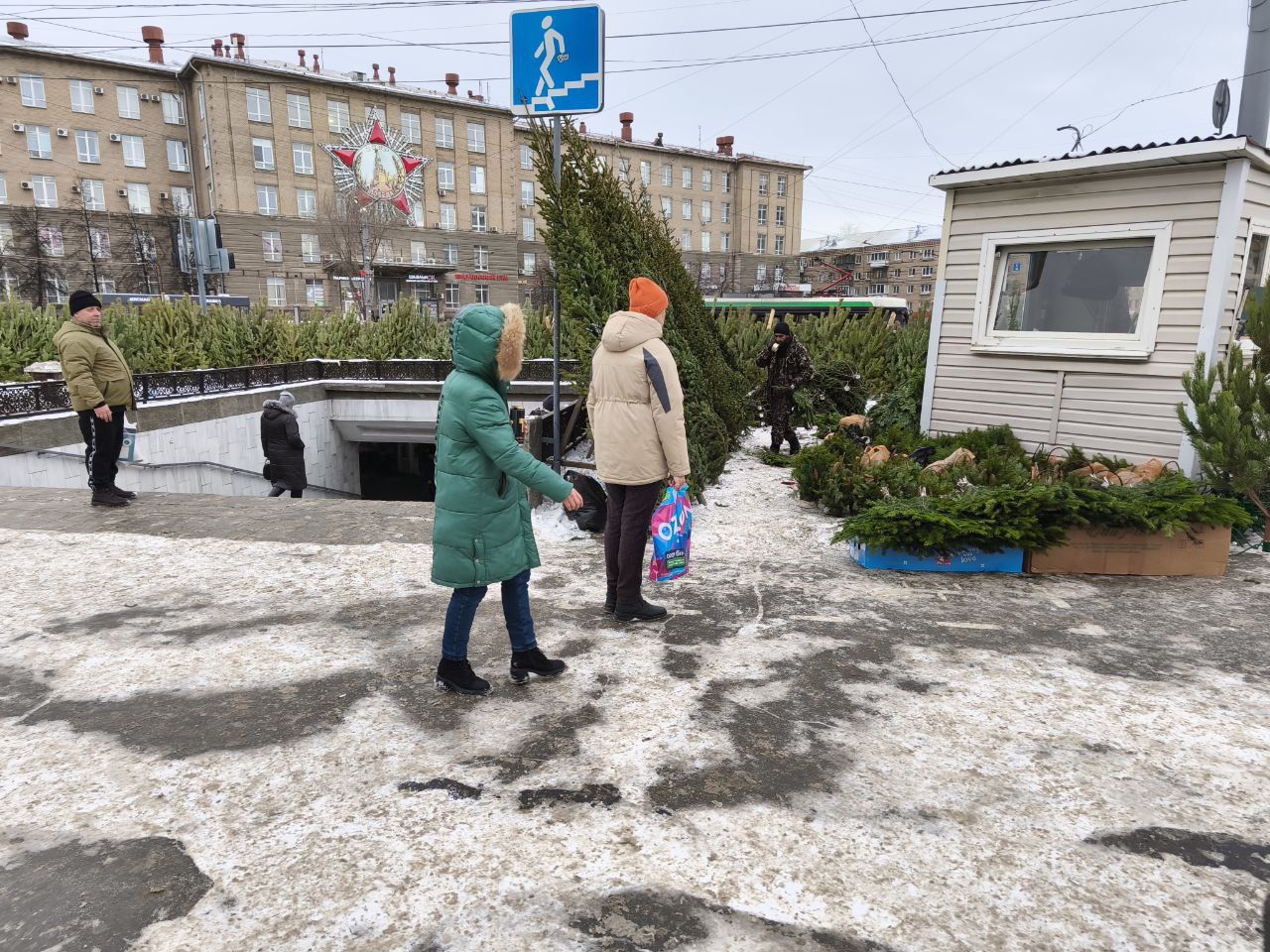 Елочные базары начали работать в Челябинске