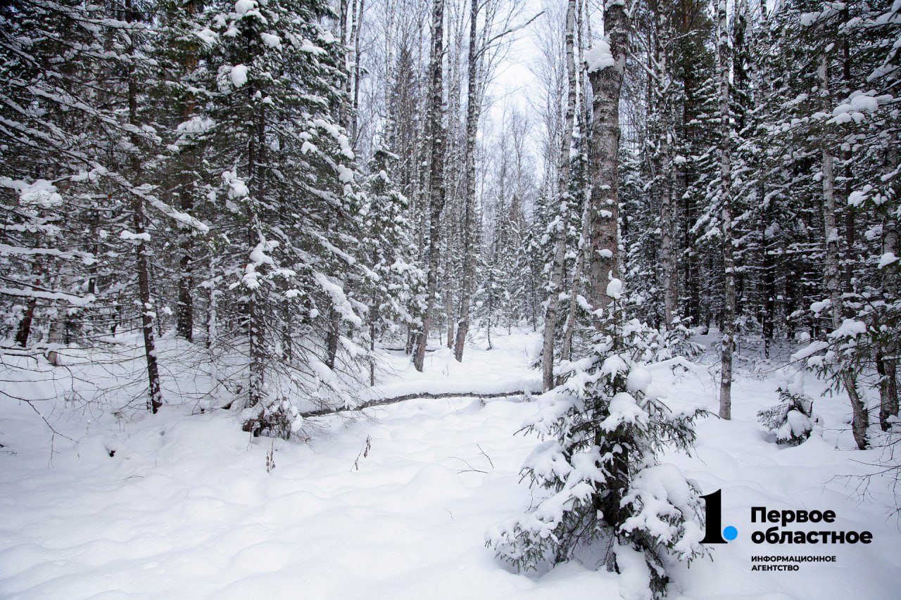 В Пермском крае ищут 13 туристов на снегоходах