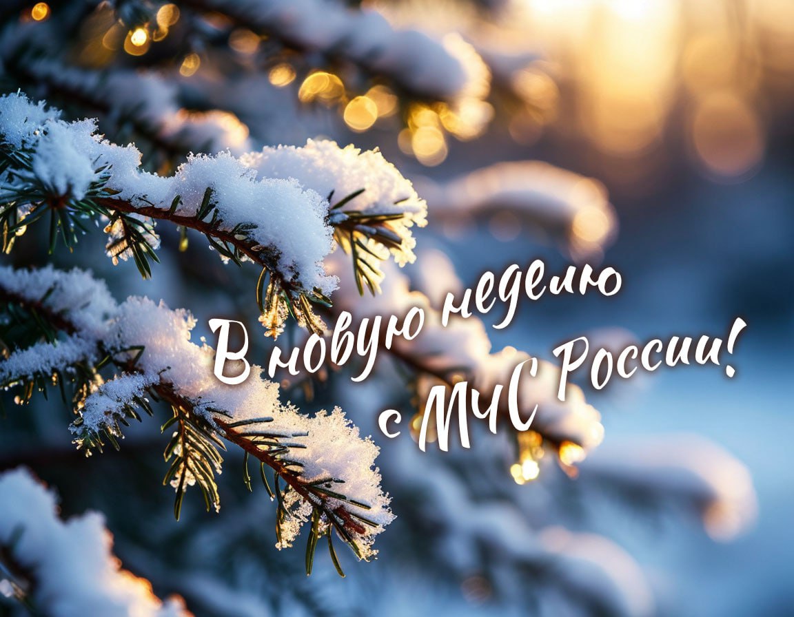 Погоду в Челябинской области 15 декабря будет определять атмосферный фронт высокого давления Погоду в Челябинской области 15 декабря будет определять атмосферный фронт высокого давления