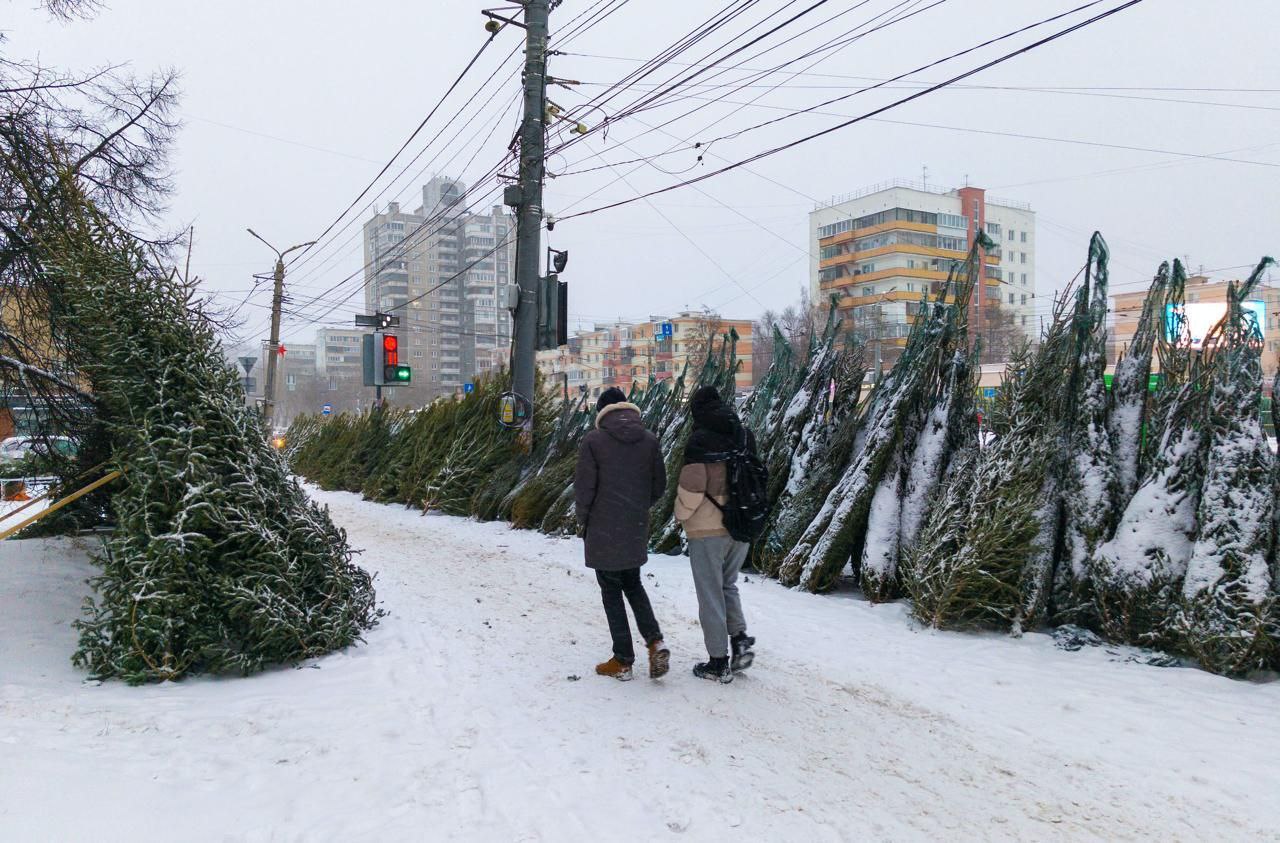 Уборка дворов, работа общественного транспорта и организация елочных базаров: итоги аппаратного совещания Администрации Челябинска