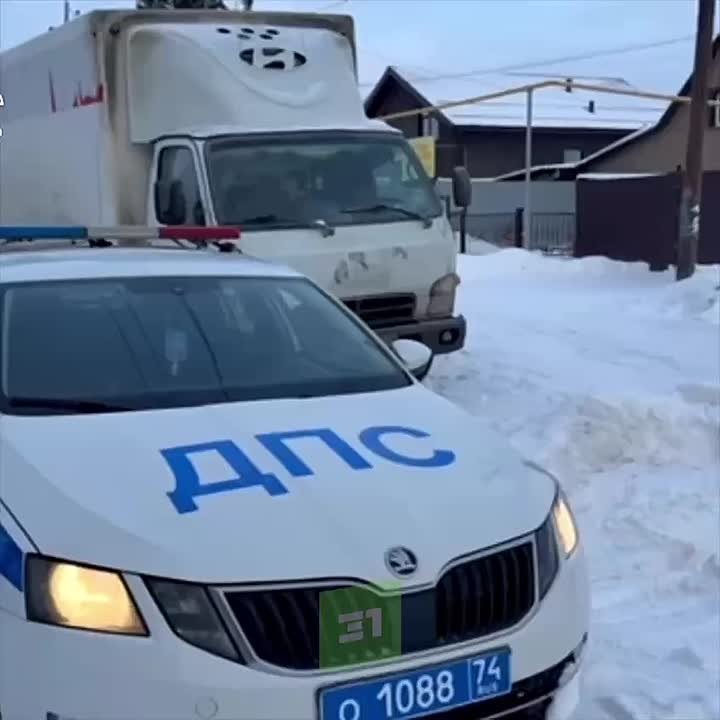 Инспекторы ГАИ остановили грузовик, доверху забитый елками