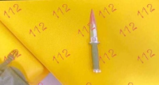 В школе Подмосковья ученик напал с ножом на охранника и одноклассника