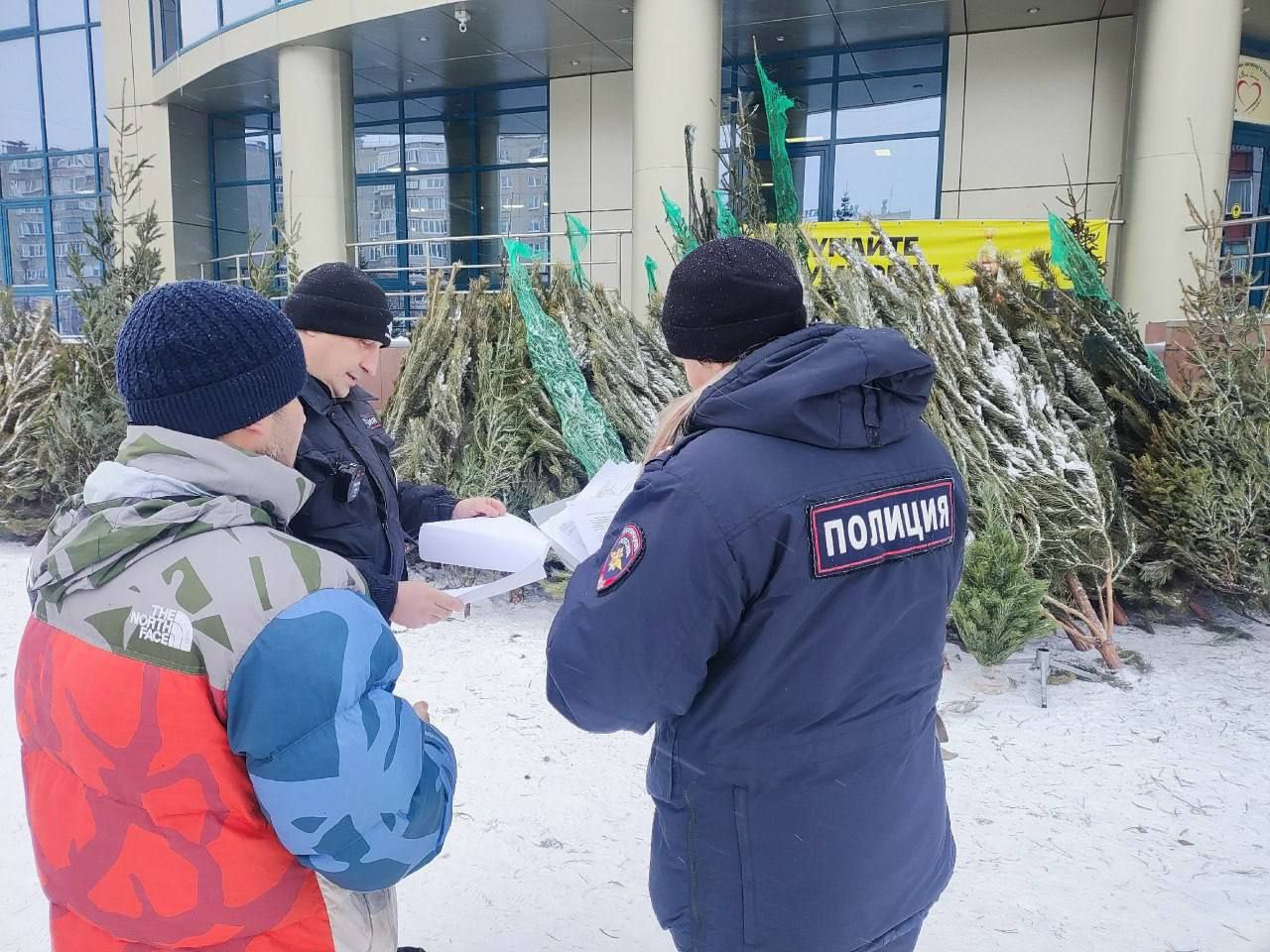 А вот и первый штраф за незаконную торговлю новогодними елками А вот и первый штраф за незаконную торговлю новогодними елками