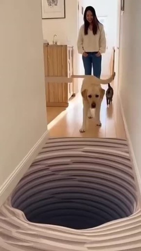 #������������31. ���� ���� ��������� ������, ������ ������ ��� ���������, ������ ����� ������ ������ ��������, �� ������� �����������! ������� ���� �����