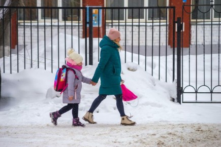 �������������� ���������� ����������� ���� � ���������� �������� � 2026 ����