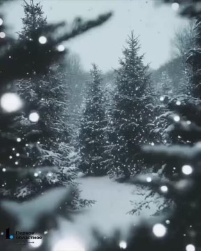 ���� 17 ������ � ����������� ������� � ������ ������ ������: �� �11�C, ������ ����