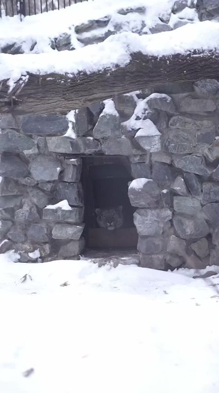 ������� ���� ��������� �� ���������� � �������� ����� ����� � ������������