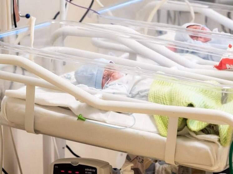 ����������� �������� ������� ���� �������, ������ ��� � ������� ChatGPT