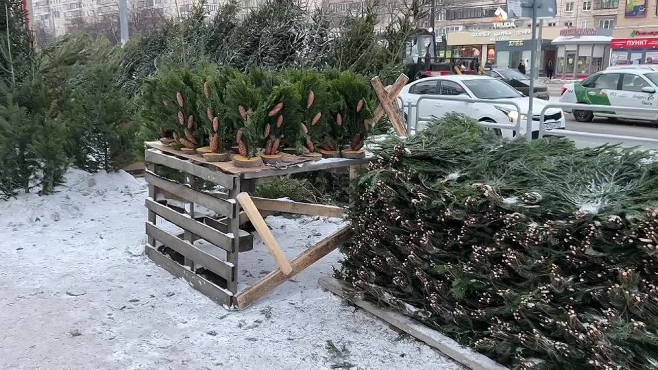 ����-�����: ���������� �������� ���������� ��������!