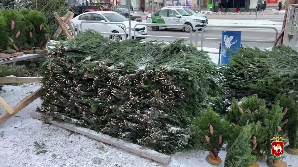 ����������� ����������� ���������� �������� ����������� � ������ ��� �����